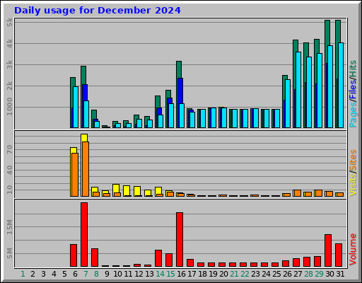 Daily usage for December 2024